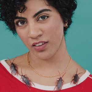 Meet your Posher, Arti